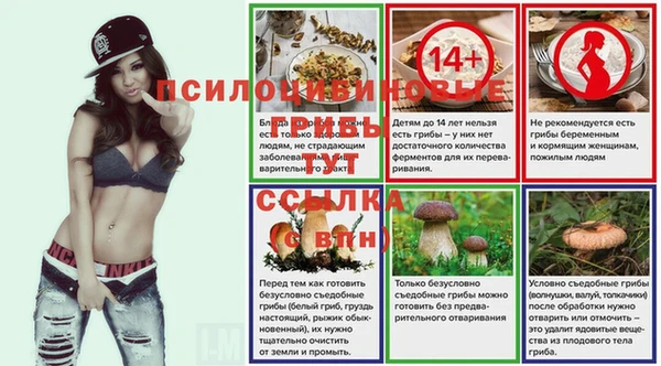 скорость Абаза