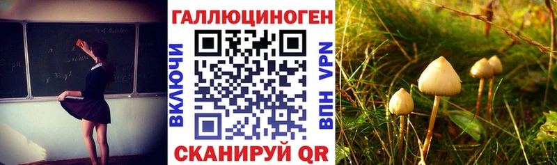 Галлюциногенные грибы Cubensis  Егорьевск 
