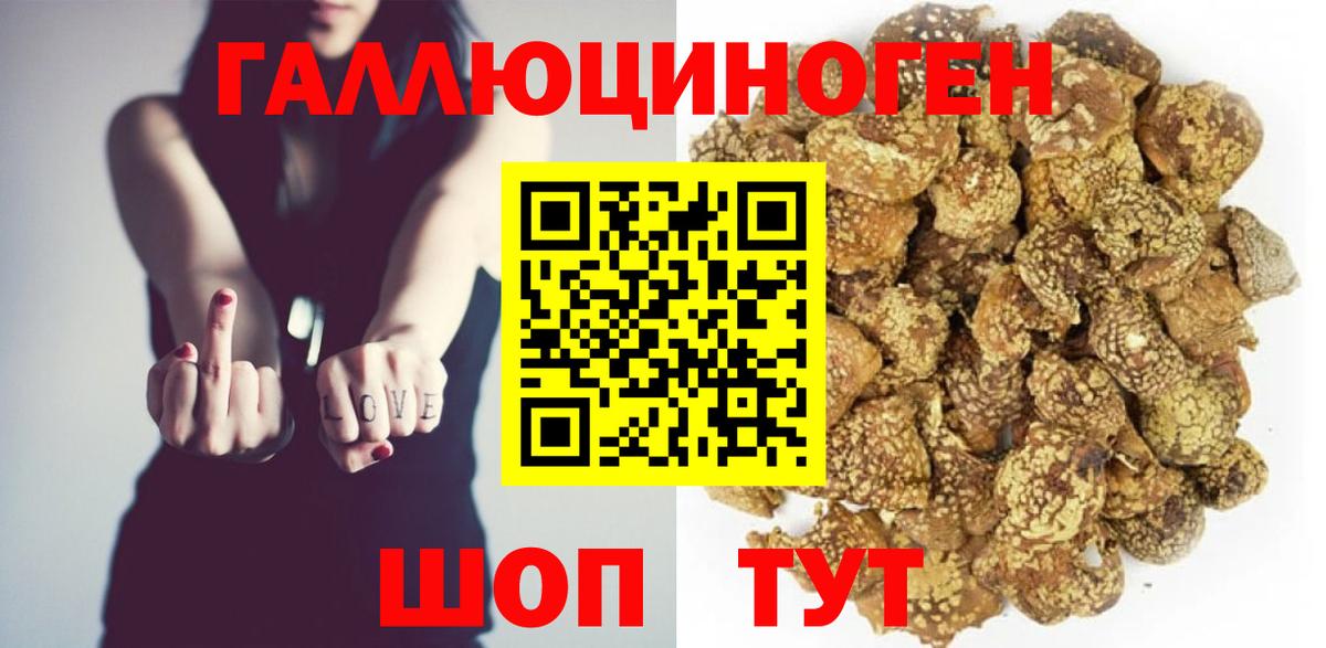 Галлюциногенные грибы GOLDEN TEACHER  Вход с VPN  Егорьевск 